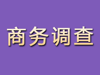 公安商务调查