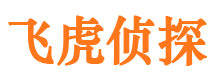 公安婚外情调查